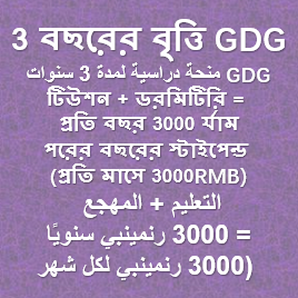 3 বছরের বৃত্তি GDG منحة دراسية