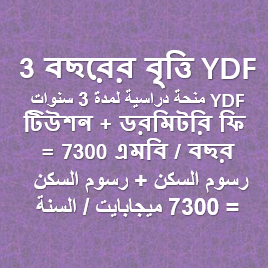 3 বছরের বৃত্তি YDF منحة دراسية