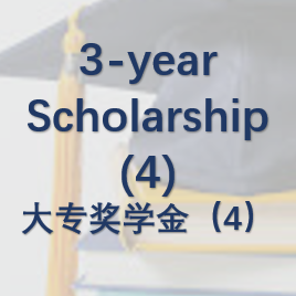 3-year University Scholarship in 2020
