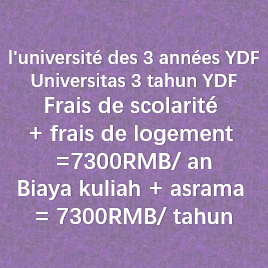 3-year University Scholarship YDF三年大学奖学金YDF