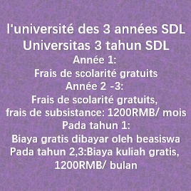 3-year University Scholarship SDL三年大学奖学金SDL