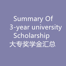 Summary of 3-Year University Scholarships (Chinese/English)