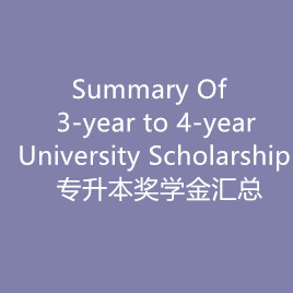 Summary of 3-Year to 4-Year University Scholarship(Chine