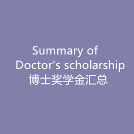 Summary of Doctor's Scholarship(Chinese/English)