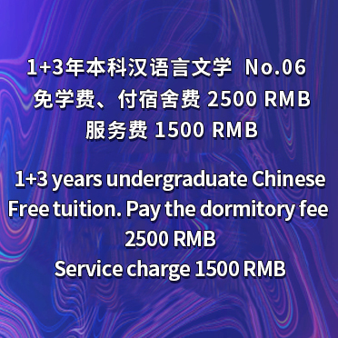 NO6 1+3-Year Bachelor of Undergraduate Chinese