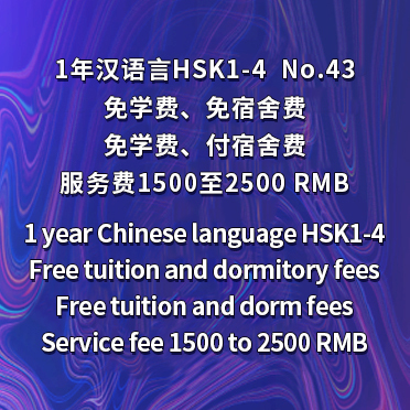 NO43 1-Year Chinese Language HSK1-4